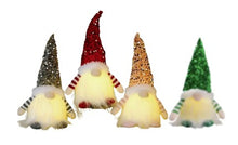 Load image into Gallery viewer, LED Christmas Sequenced Gnomes #3