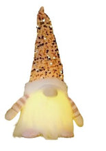 Load image into Gallery viewer, LED Christmas Sequenced Gnomes #3

