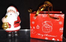 Load image into Gallery viewer, Mini Santa in &quot;Merry Christmas&quot; Bags
