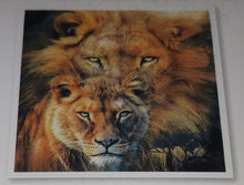 Load image into Gallery viewer, 5D Diamond Art ~ Lion &amp; Tiger #1 (30 x 30 cm)
