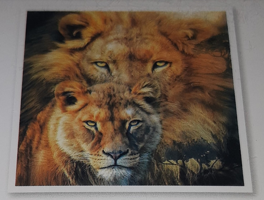 5D Diamond Art ~ Lion & Tiger #1 (30 x 30 cm)