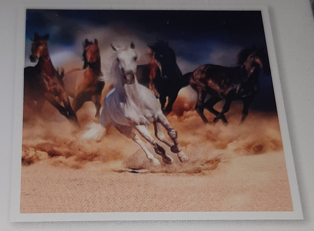 5D Diamond Art ~ Horses #1 (30 x 30 cm)