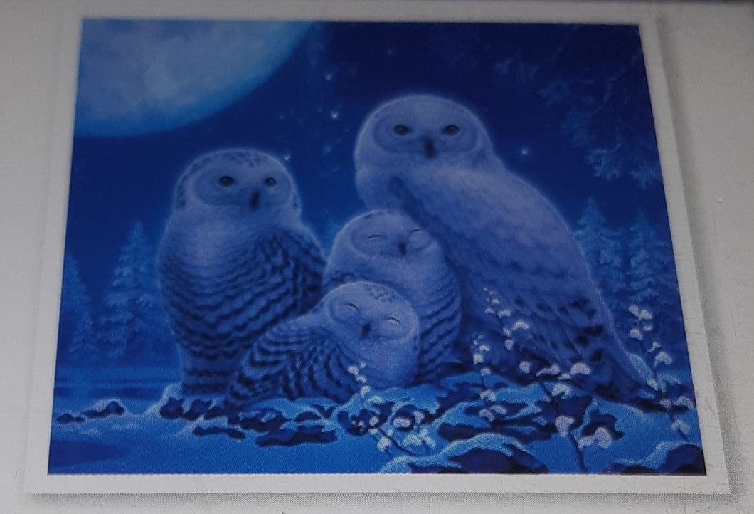 5D Diamond Art ~ Owl #2 (30 x 30 cm)