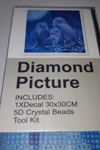 Load image into Gallery viewer, 5D Diamond Art ~ Owl #2 (30 x 30 cm)
