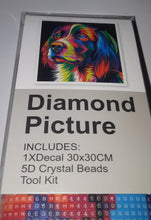 Load image into Gallery viewer, 5D Diamond Art ~ Dog #1 (30 x 30 cm)
