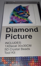 Load image into Gallery viewer, 5D Diamond Art ~ Cat #2 (30 x 30 cm)
