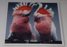 Load image into Gallery viewer, 5D Diamond Art ~ Birds #1 (30 x 30 cm)
