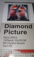 Load image into Gallery viewer, 5D Diamond Art ~ Birds #1 (30 x 30 cm)
