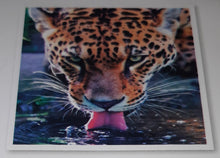 Load image into Gallery viewer, 5D Diamond Art ~ Jaguar #1 (30 x 30 cm)
